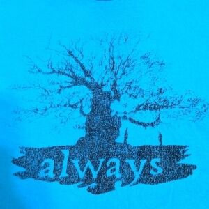 Always vintage style graphic tee size Medium
